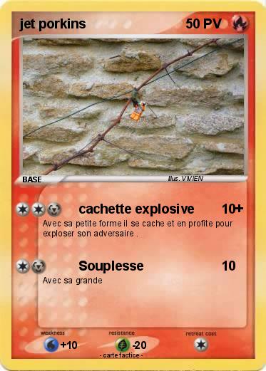 Pokemon jet porkins