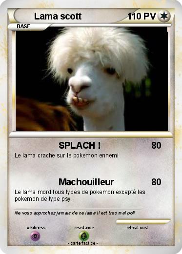 Pokemon Lama scott