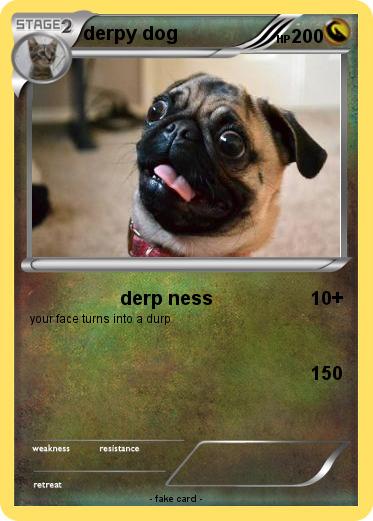 Pokemon derpy dog