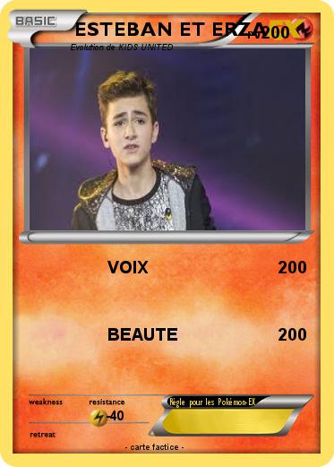 Pokemon ESTEBAN ET ERZA