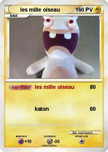 Pokemon les mille oiseau