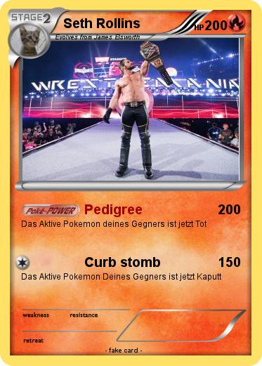 Pokemon Seth Rollins