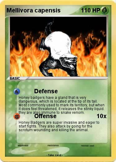 Pokemon Mellivora capensis