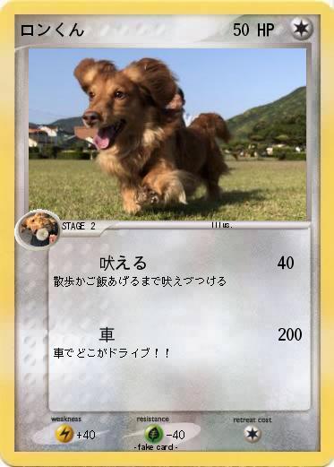 Pokemon ロンくん