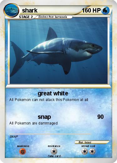 Pokemon shark