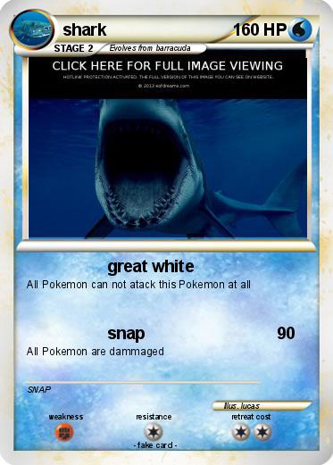 Pokemon shark
