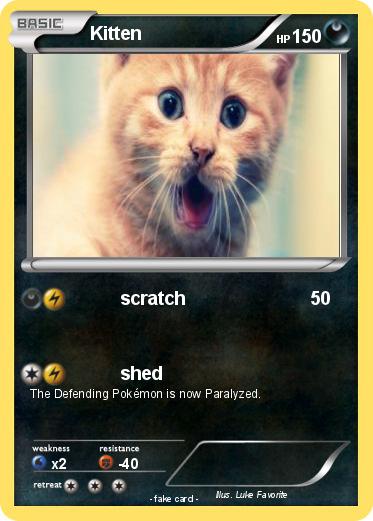 Pokemon Kitten
