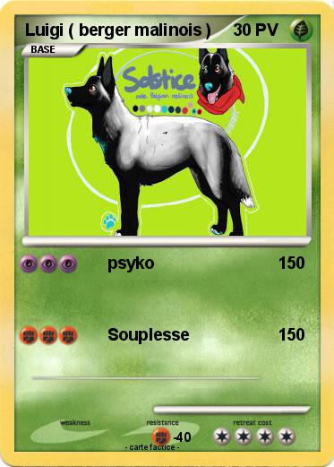 Pokemon Luigi ( berger malinois )