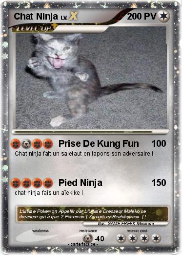 Pokemon Chat Ninja