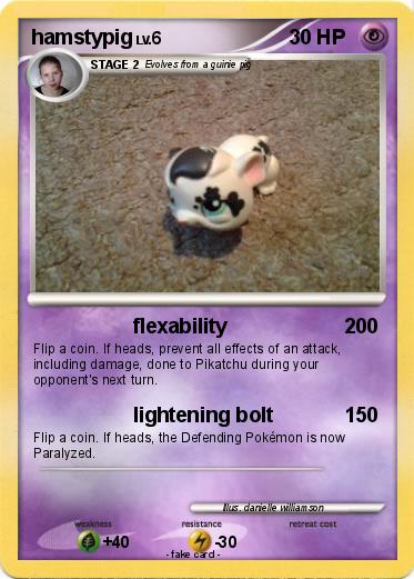 Pokemon hamstypig