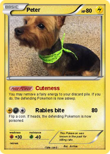 Pokemon Peter