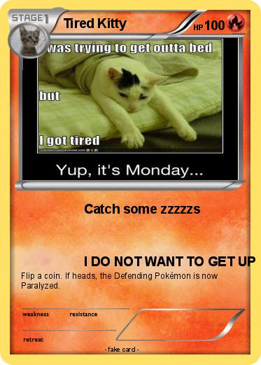 Pokemon Tired Kitty