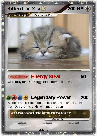 Pokemon Kitten L.V. X