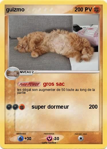 Pokemon guizmo