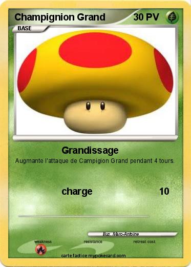 Pokemon Champignion Grand