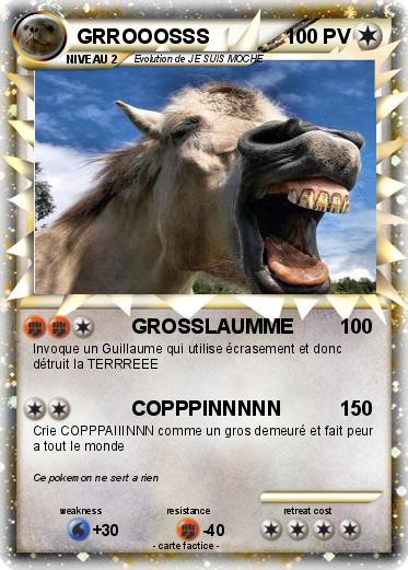 Pokemon GRROOOSSS