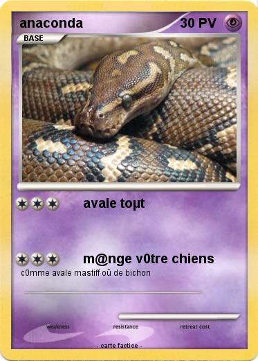 Pokemon anaconda