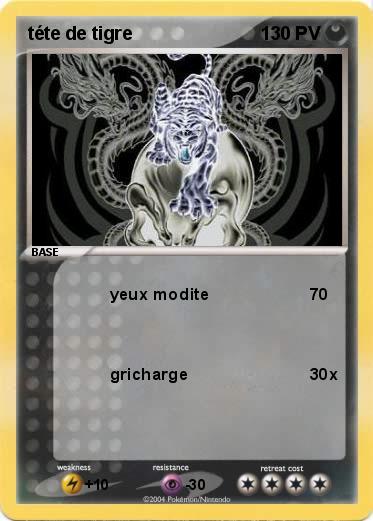 Pokemon téte de tigre