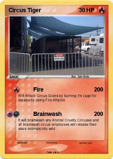 Pokemon Circus Tiger