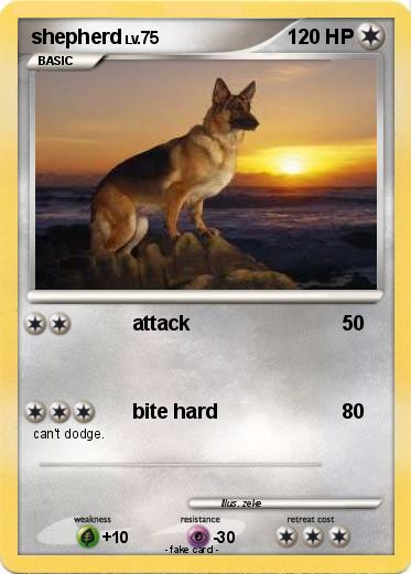 Pokemon shepherd