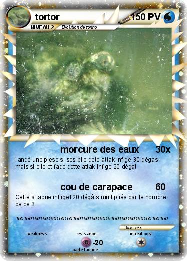 Pokemon tortor