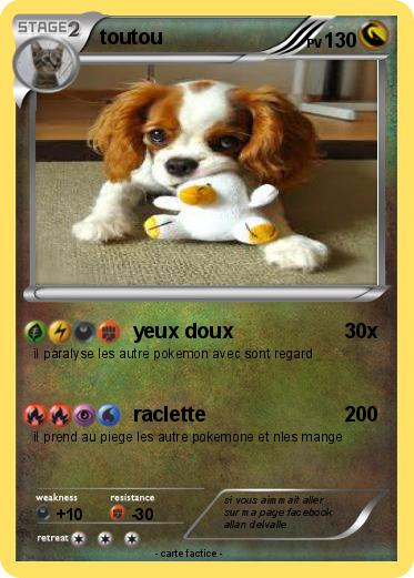 Pokemon toutou