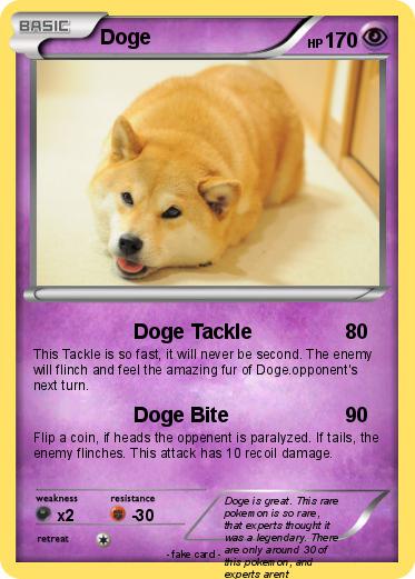 Pokemon Doge