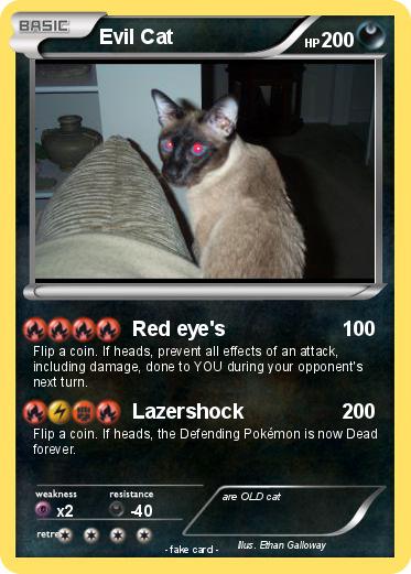 Pokemon Evil Cat