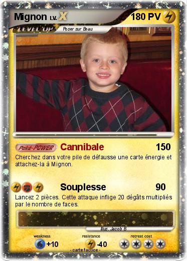 Pokemon Mignon