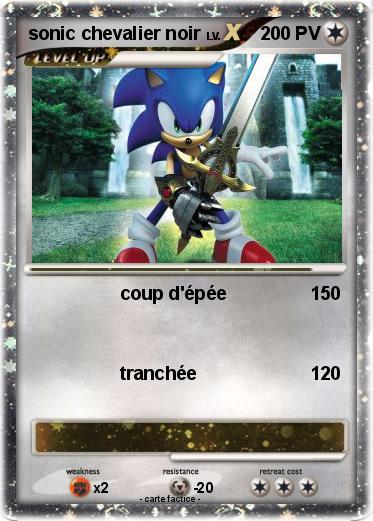 Pokemon sonic chevalier noir