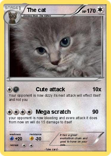 Pokemon The cat