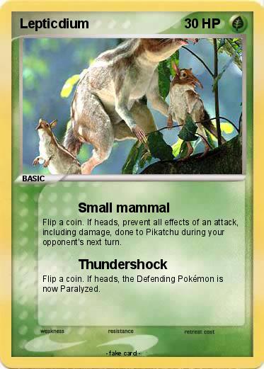 Pokemon Lepticdium
