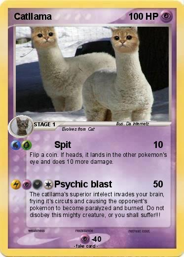 Pokemon Catllama