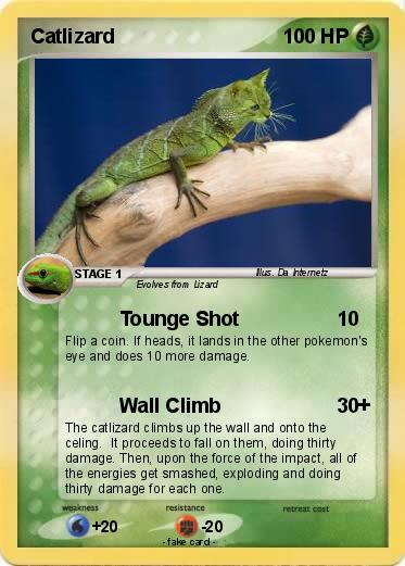 Pokemon Catlizard
