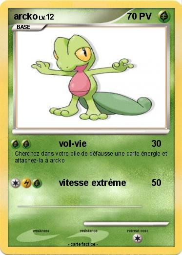 Pokemon arcko