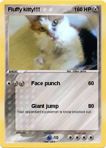 Pokemon Fluffy kitty!!!!