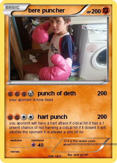 Pokemon bere puncher