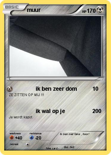 Pokemon muur