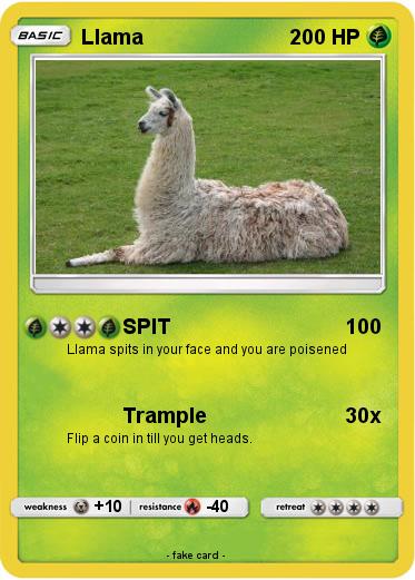 Pokemon Llama