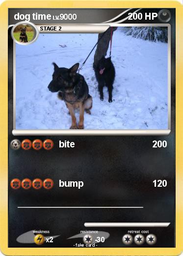 Pokemon dog time