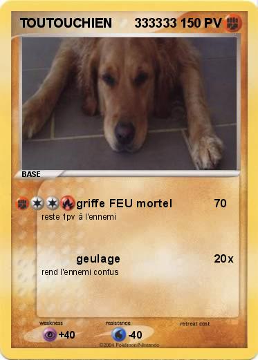Pokemon TOUTOUCHIEN      333333