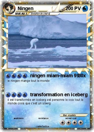 Pokemon Ningen