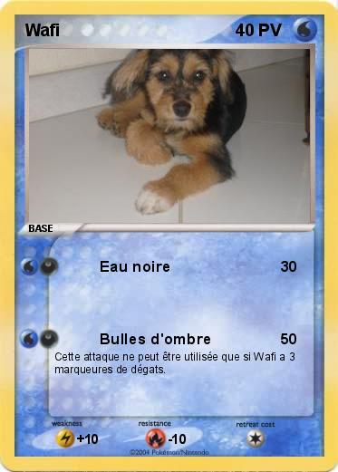 Pokemon Wafi