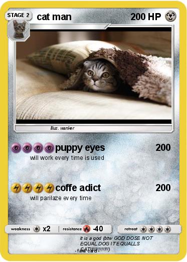 Pokemon cat man