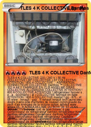 Pokemon TLES 4 K COLLECTIVE Danfoss