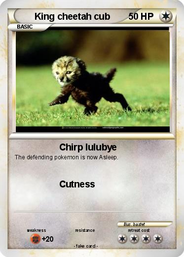 Pokemon King cheetah cub