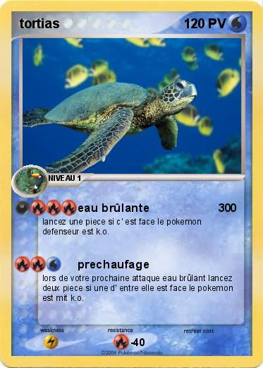 Pokemon tortias