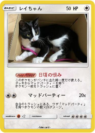 Pokemon レイちゃん