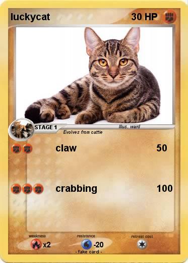 Pokemon luckycat
