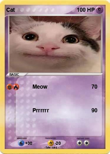 Pokemon Cat